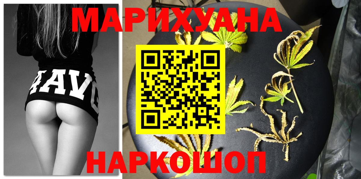 Канабис сатива Гуково